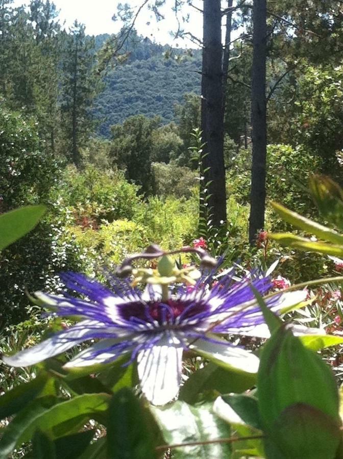 Les Jardins Hotel Anduze Kültér fotó